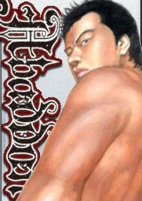 Cover of Manga
