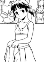 Capa de Manga