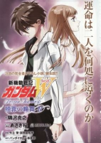 Capa de Manga