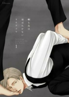 Capa de Manga