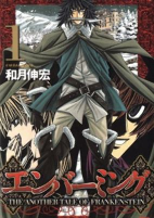 Capa de Manga