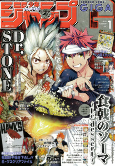 Capa de Manga