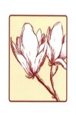 Titelbild von Autoren